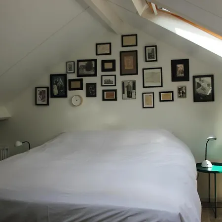 Familiehuis De Betuwe Met Prive Kunstgras Tennisbaan En Sauna * Erichem