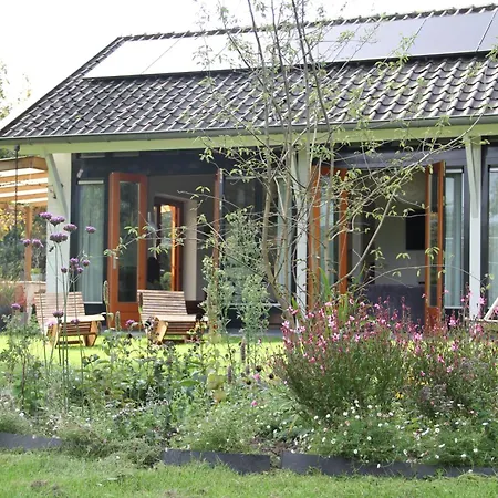Familiehuis De Betuwe Met Prive Kunstgras Tennisbaan En Sauna Holiday home Erichem