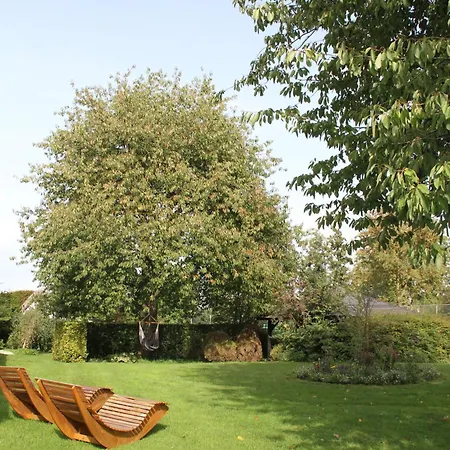 Familiehuis De Betuwe Met Prive Kunstgras Tennisbaan En Sauna * Erichem